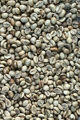 Background of raw    green coffee beans with copy space in minimal style, template for lettering,