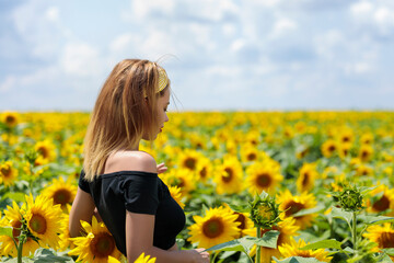 Naklejka na ściany i meble Pretty young woman on a sunflowers field