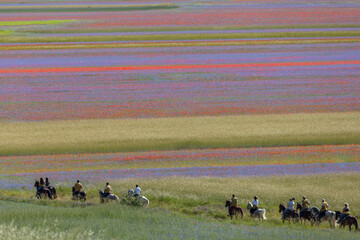 Castelluccio di Norcia, Italy - July 2020: spring and summer are perfect for horse riding and hiking in this beautiful highland