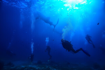 Fototapeta na wymiar scuba diver and school of fish, fish tornado, underwater view ecosystem man under water
