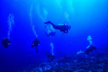 Naklejka na ściany i meble divers in the ocean, underwater sport active recreation in the deep ocean
