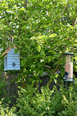 Wooden bird house in the garden 