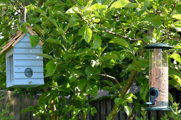 Wooden bird house in a garden in England. 