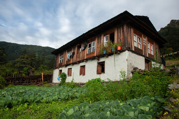 house in the mountains