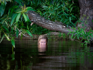 mermaid girls with blue eyes in green thickets in the water