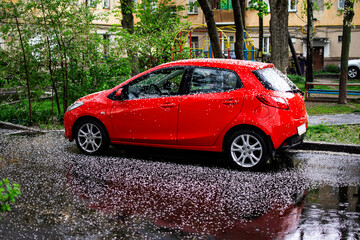 Fototapeta na wymiar Red car in flower petals after rain
