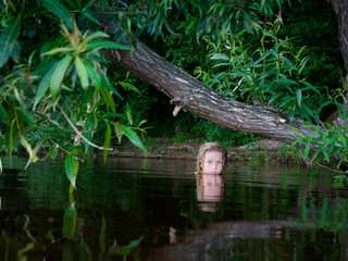 mermaid girls with blue eyes in green thickets in the water