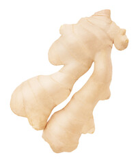 Fresh whole ginger isolated on a white background.