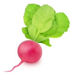 Fresh whole beet with leaves isolated on a white background.