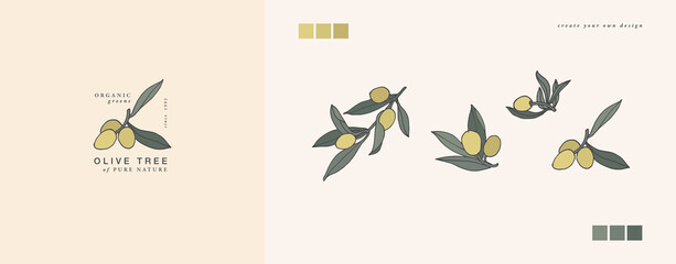 Vector illustration olive branch - vintage engraved style. Logo composition in retro botanical style.