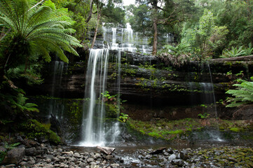 Mt Field waterfall