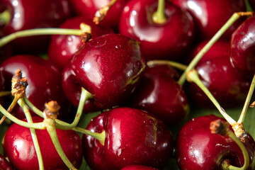 Cherries against the background of nature