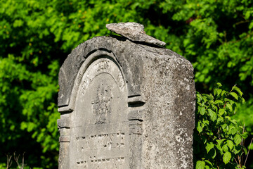 Roztocze  - J&oacute;zef&oacute;w