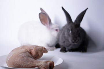 gray and white rabbits-bunnies scared near a raw piece of meat. copy space. Meat, culinary, vegetarian concept. Save animals. High quality photo