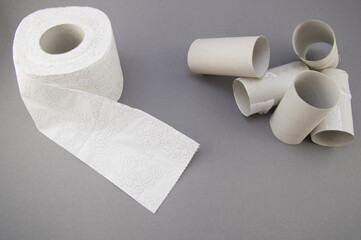 toilet paper roll and bushes lie on a gray background.Toilet paper crisis due to coronavirus COVID-19 quarantine.