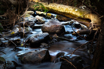 A flowing river over rocks with vegetation all around it