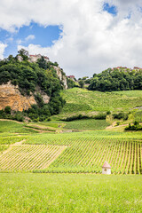 Vignobles du Jura