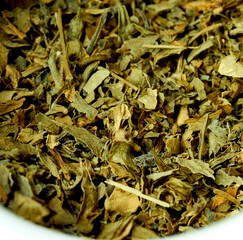 green oregano in macro with white border