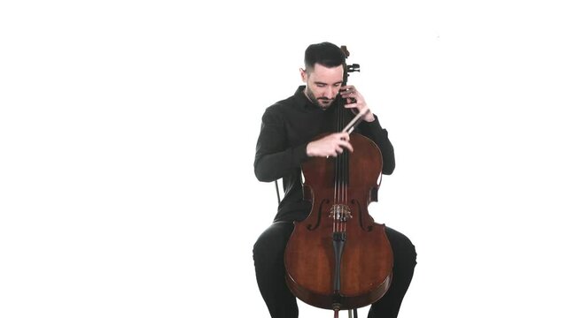 talented cellist in a black shirt plays an classic cello. Pizzicato technique. Isolated. Medium long shot
