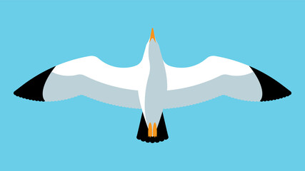 Flying seagull. Close up of a gull in the sky. Abstract bird. Vector illustration.