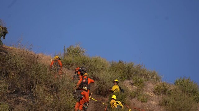 Inmate Fire Crew Fighting brush fire