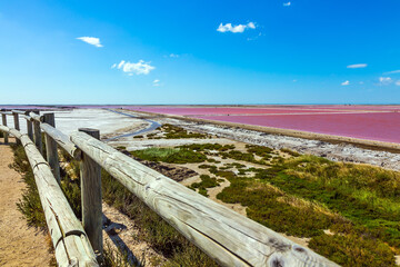 Observation deck. Pink Salt Water Estuary