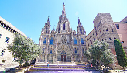 Fototapeta na wymiar Barcelona Cathedral, Catalunya, Spain, Europe