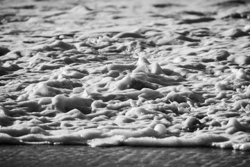 Foamy Waves Crashing on Shore