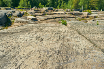 Petroglyphs in Karelia, Belomorsk district, Russia.