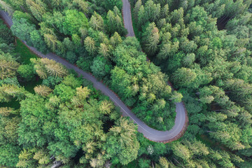 Aerial view of beautiful mountain road crossing a green forest
