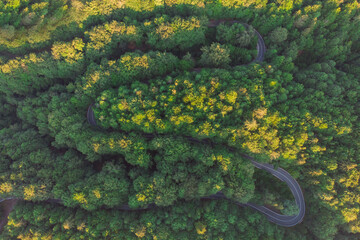 Aerial view of beautiful mountain road crossing a green forest