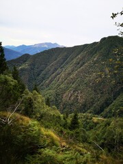 mountain landscape with trees