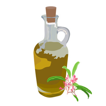 Vector stock illustration of aroma oil. Glass bottle with yellow body massage cream. Oil with a sprig of sandalwood. Pink flower . Dressing for salads, Italian dishes. Isolated on a white background.