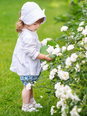 on a summer day, a little girl takes care of flowers in the garden, watering roses in a flower bed