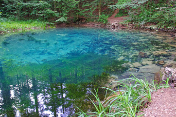 Clear blue mountain lake in forest