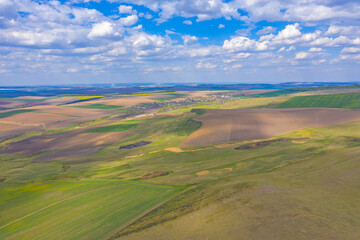 Obraz premium Pasture and agriculture fields in springtime