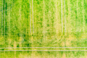Tractor traces on green field