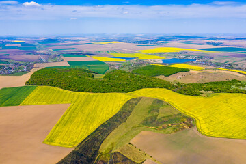 Above view of canola fields near forest