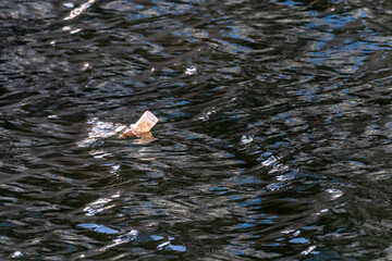 Empty plastic bottle trash floating on the river's surface