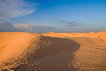 Fototapeta na wymiar sand dunes of the Sahara desert illuminated by the setting sun