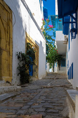 Fototapeta na wymiar narrow streets of the blue and white city of Sidi bou Said