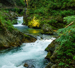 Rapid flow, Vintgar Gorge, Slovenia