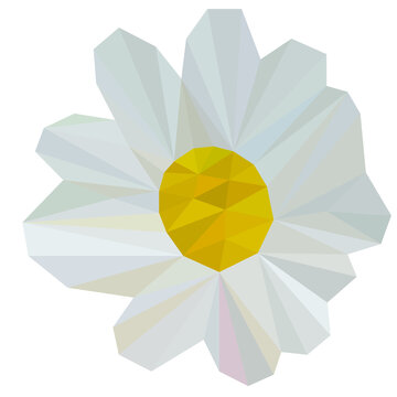 Chamomile Painted Using The Low Poly Technique