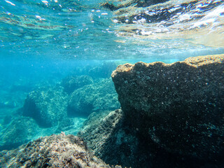 turquoise seabed. marine life under water. clear water of the ligurian sea. large stones at the bottom of the sea