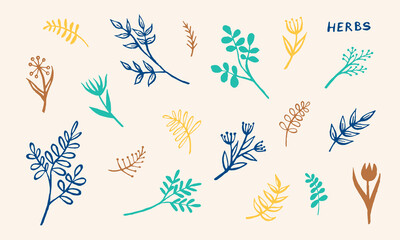 Hand drawn vector collection of herbs. Doodle floral element. Spring and summer symbol. Contour otline drawing of simple colorful twigs and flowers