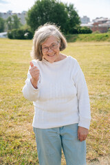 Fototapeta na wymiar Portrait of a gray-haired adult European grandmother with glasses on the background of nature in the park