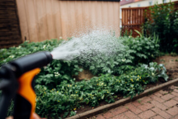Felder im Garten gießen mit Sprinkler
