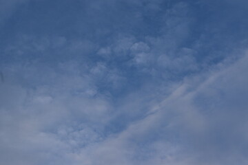 Nature, Plants, Flowers, Greenery, Sky, Sun, Freedom