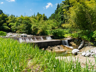 Naklejka premium stream flow in a woods in countryside of Fukuoka prefecture, JAPAN.