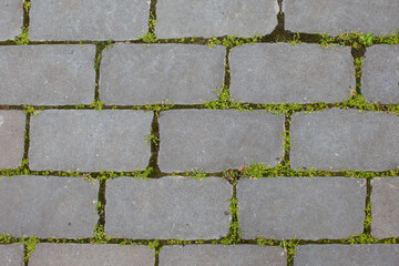 Grey horizontal rectangular pavement with grass pattern